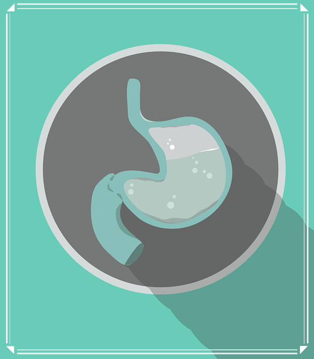 數(shù)字胃腸機(jī)